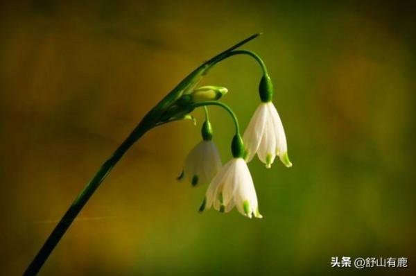 你終究會明白，人這一生的好運氣，不會超過二十年的時間