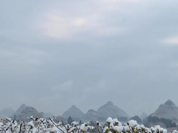 春雪紛飛染冬色 黔地皚皚似北國