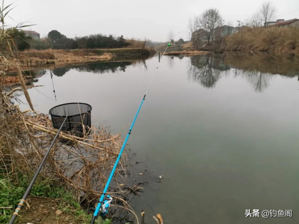 別再眼饞別人的魚獲，做好這5點，包你擺脫十釣九空的窘境