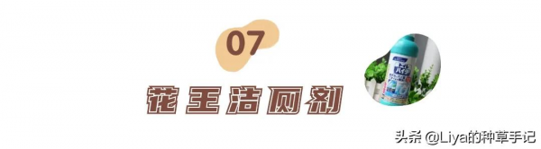 今年買的東西里，這8樣最滿意