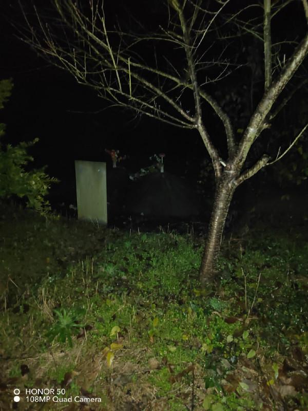 陪伴魚兒看煙花，期待新年的鐘聲