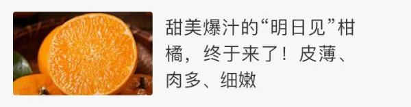 等下個晴天，咱們帶著這套自動充氣帳篷、床墊，去露營吧