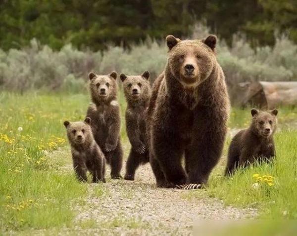 國家的標籤和外交，人的標籤和交往