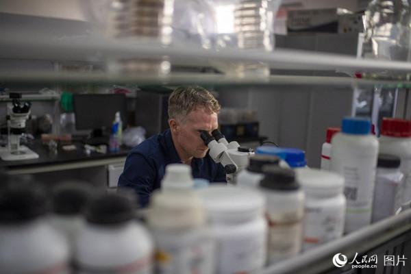 南非植物學家在昆明：如果不是來到中國雲南，我的研究成果不會如此豐碩