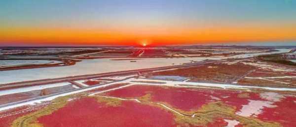 這裡畫了個圈!黃河口國家公園總體規劃圖官宣 這裡畫了個圈!黃河口國家公園總體規劃圖官宣