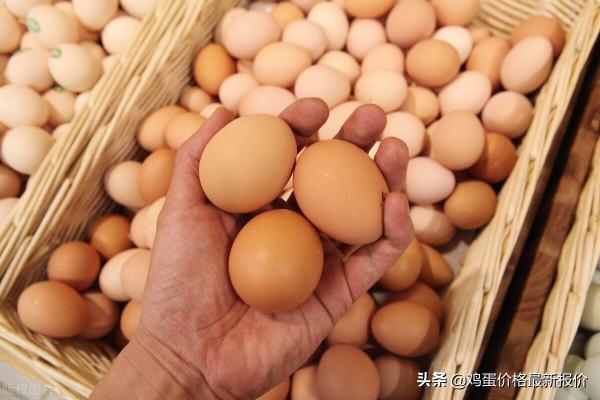 雞蛋：跌價清庫，低價促銷