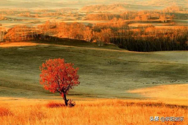 秋去秋來！中國最美的12個地方，你去過幾個？