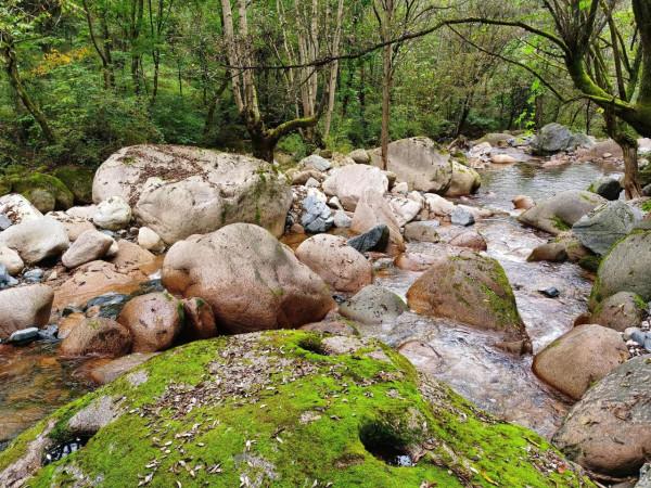 長安古道探秘：悠悠關隴古道