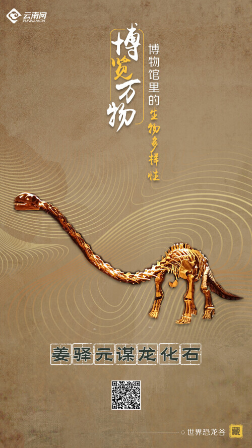 海報丨探生命起源 賞生物多樣 雲南9大博物館帶您開啟奇妙之旅