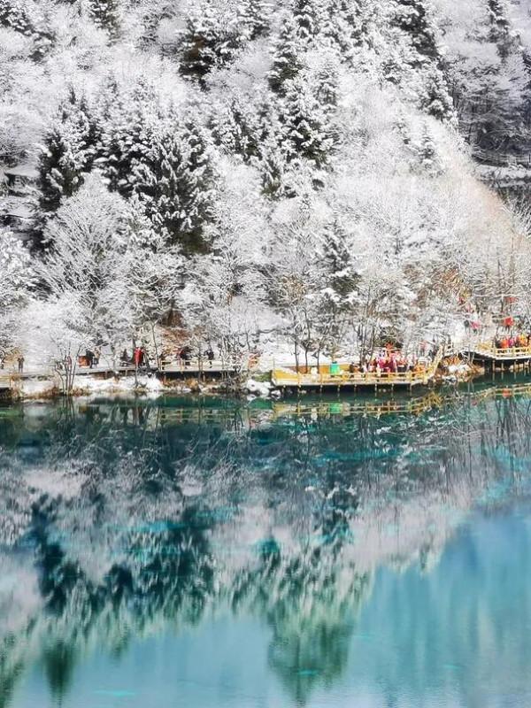 飢寒交迫的旅遊業