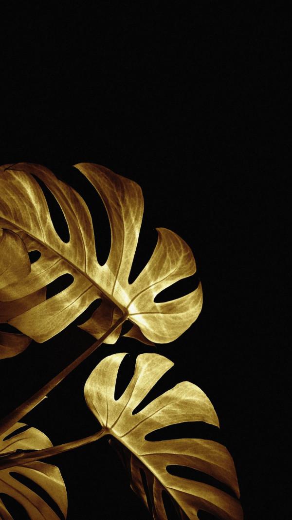 個性手機桌布|手機桌布庫要更新了,個性非凡的黑金主題來襲 個性手機桌布|手機桌布庫要更新了,個性非凡的黑金主題來襲