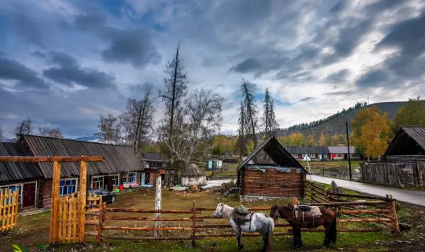 秋天的新疆，美成了桌布