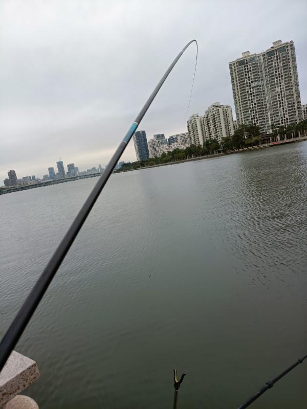 早起的鳥兒有蟲吃，晨釣提竿遛大魚&hellip;&hellip;