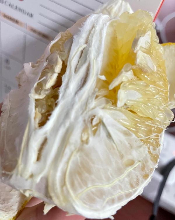 D43 10月28日的全天飲食記錄