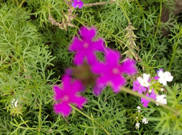 旅遊給我的啟示 旅遊給我的啟示