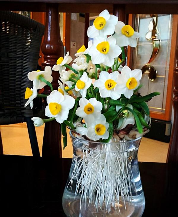 喜歡水的“7種花”,天天澆水也不怕,適合勤快的人 喜歡水的“7種花”,天天澆水也不怕,適合勤快的人