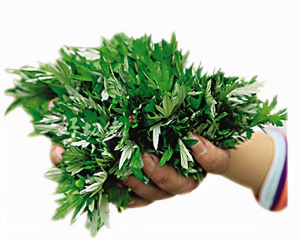 代號523！1967年，我國500多名科研人員，悄悄領受一項特殊任務