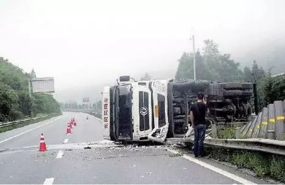 高速路上碰見動物，你會怎麼操作，關鍵時刻能救你一命