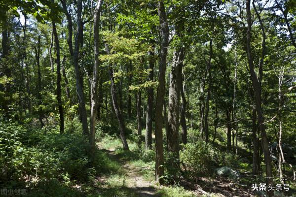 殺人者“冤魂不散”——山村奇事(民間故事) 殺人者“冤魂不散”——山村奇事(民間故事)