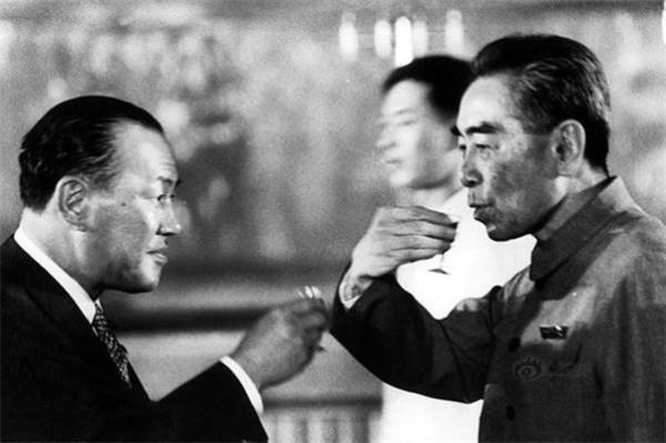 打死一隻判十年！各國朱䴉相繼滅絕，我國如何從7只增到4000只？