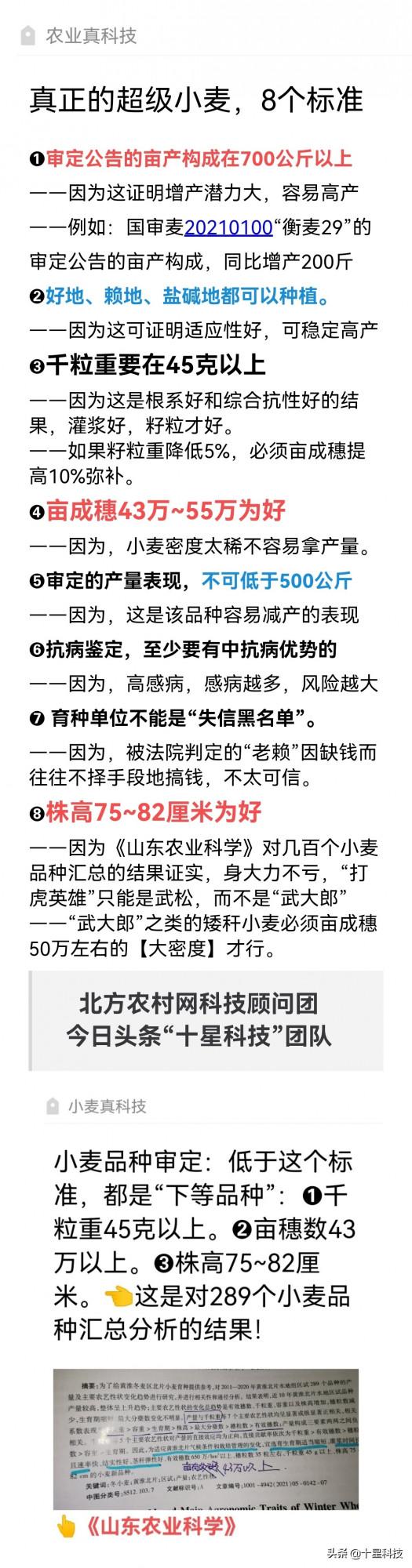 河北河南，十大超級小麥品種！因為，真正超高產，真正抗減產