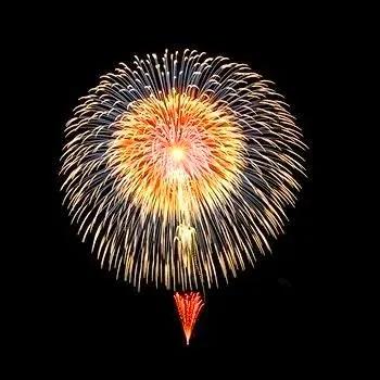 分享：60朵春節煙花，火樹銀花，璀璨奪目，絢麗多彩，眼花繚亂