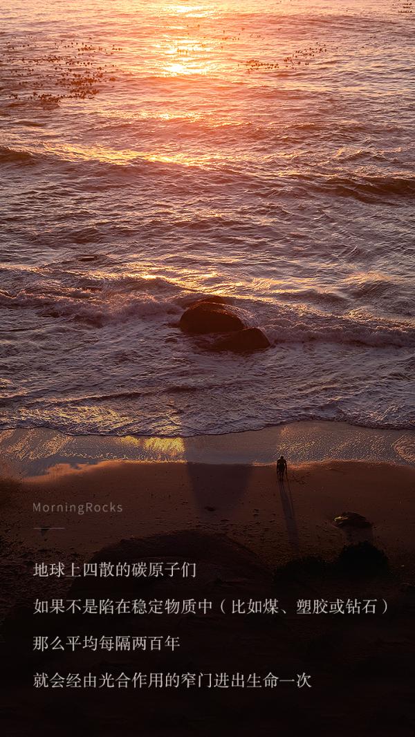 看到原子與虛空的另一半故事 | 軟科普計劃 Vol.8