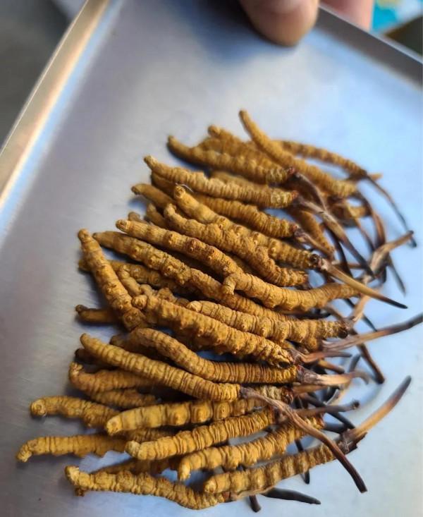 雲南珍貴的藥膳美味，不吃會後悔！藥食合一的獨特雲南味道