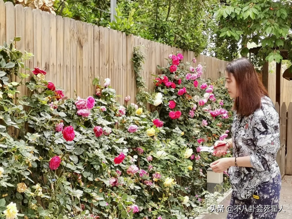 18位定居內地的港臺藝人，有人住5億豪宅，有人只能租房住