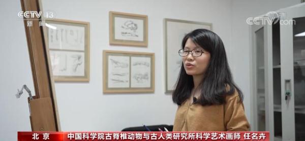 如何還原這些消失的朋友？恐龍畫像是這麼來的