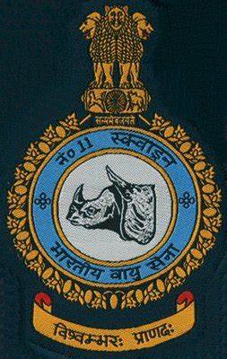 印度空軍各類標識：飛行中隊（6）