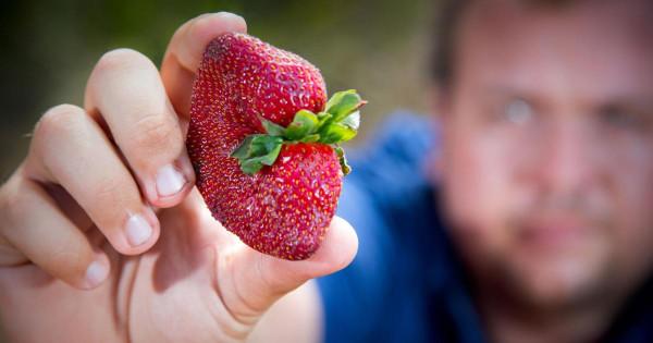 美食也能犯罪？盤點那些和食物有關的國外刑事案件