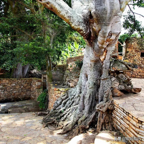 中國最奇特的10個村莊，保留了最本真美麗的模樣，你去過幾個？