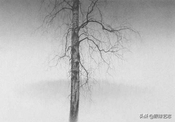 1440個小時的涅槃之畫：黎明之樹，佐藤裕一郎的心之風景