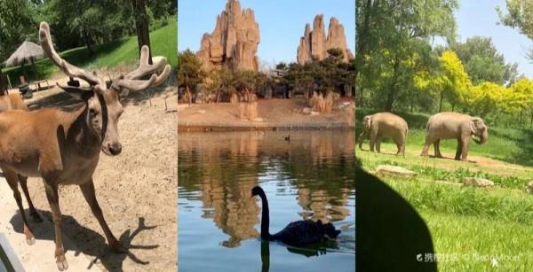 中國旅遊地圖攬勝—北京大興