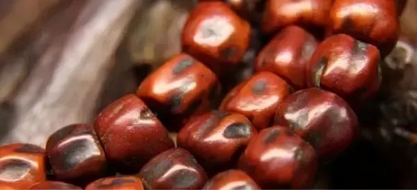 這個夏天，高低盤一串百香