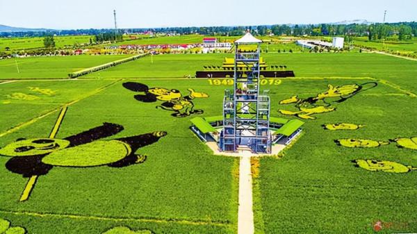 河南一低調縣城，規模不大稻田畫卻超美，門票免費名氣不大