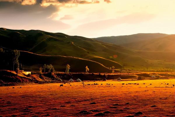 秋天的新疆，美成了桌布