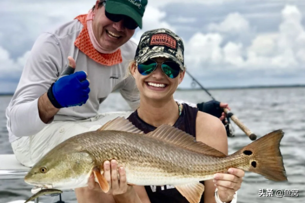 美國紅魚,到底是個什麼東東? 美國紅魚,到底是個什麼東東?