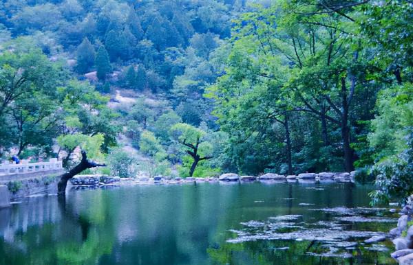 人與自己、人與自然、人與人如何相處?這三首精品詩詞給出答案 人與自己、人與自然、人與人如何相處?這三首精品詩詞給出答案