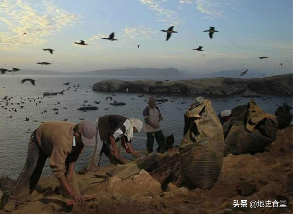 湯加人能不能效仿諾魯，到澳大利亞建房定居？