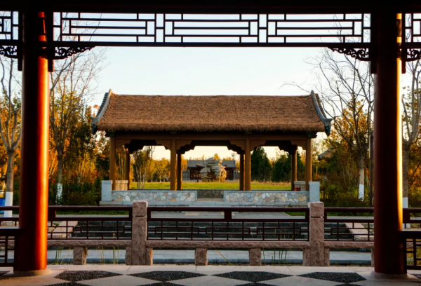 秋染副中心① | 漫步賞秋，張家灣公園內，秋色也能勝春朝！