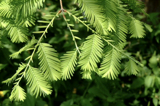 【我們的節日】預備!一起出發~ 【我們的節日】預備!一起出發~