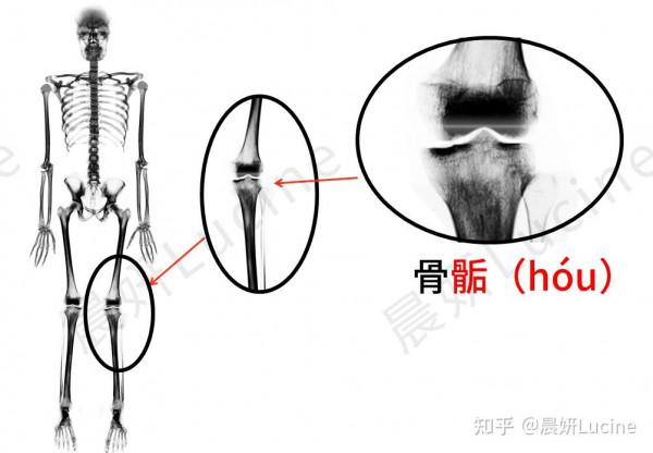 長得矮的男生怎麼穿搭？