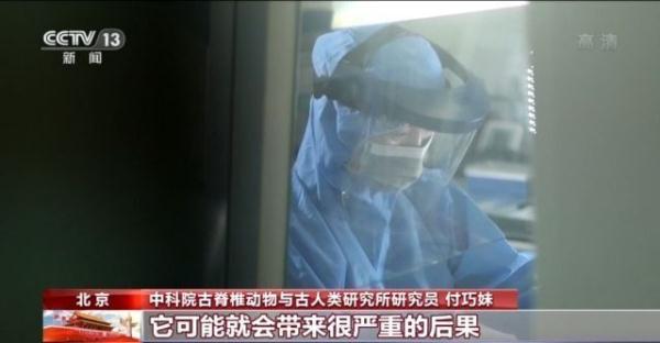 付巧妹:破譯人類古DNA密碼 人類演化本身就是終極命題 付巧妹:破譯人類古DNA密碼 人類演化本身就是終極命題