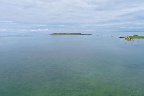 標緻4008環青海長測Day9：鳥島叫“蚊子島”，沿青海沿線達剛察！