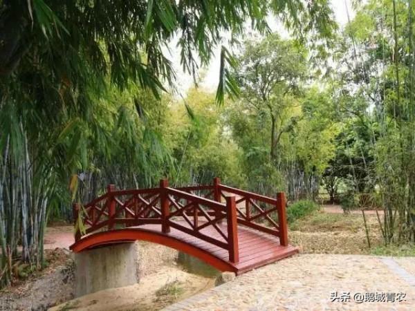 廣東省文化和旅遊特色村及鄉村旅遊精品線路