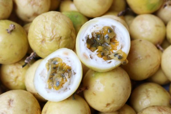 距廣州一小時車程的增城派潭鎮,一個遠離城市喧囂的生態小鎮 距廣州一小時車程的增城派潭鎮,一個遠離城市喧囂的生態小鎮