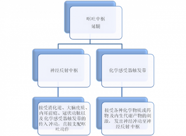 噁心嘔吐的病因及診斷要點