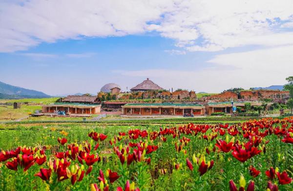 菜吧:從無人問津的村,到年接待遊客800萬的網紅村,它做對什麼 菜吧:從無人問津的村,到年接待遊客800萬的網紅村,它做對什麼